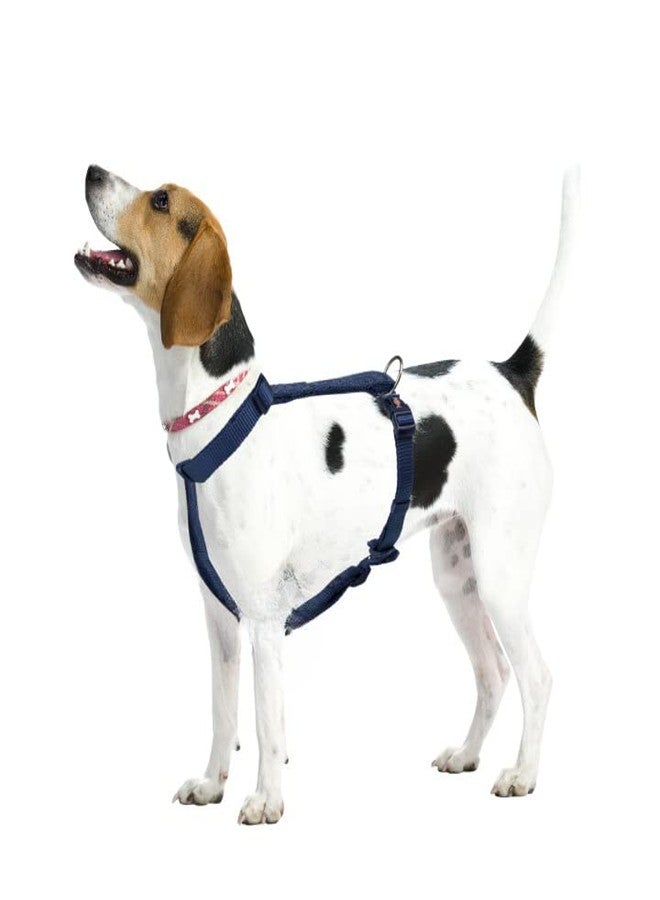 Trixie Premium H-Harness Belt for Dogs, Stylish Design, Adjustable Webbing Tape, Strain Relief, Lightweight & Adjustable Straps (S-M, Indigo) - Image 2